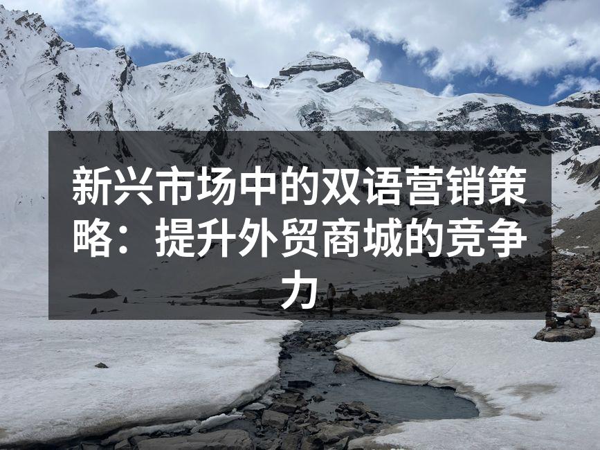 新兴市场中的双语营销策略：提升外贸商城的竞争力