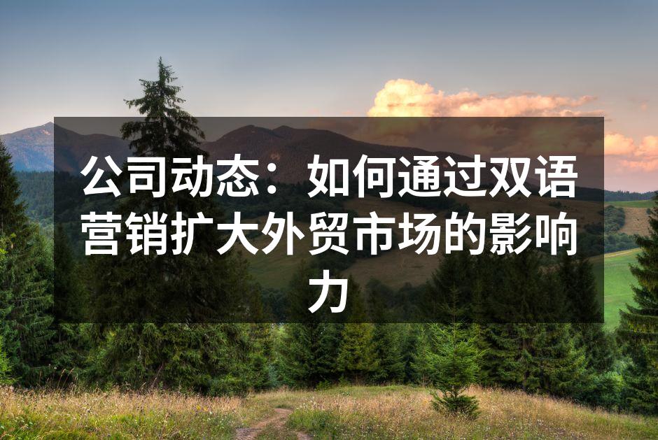 公司动态：如何通过双语营销扩大外贸市场的影响力