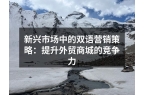 新兴市场中的双语营销策略：提升外贸商城的